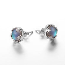Load image into Gallery viewer, Earrings s925 Silver Stud Elegant Jewelry Birthdays Romatic Gift for Women