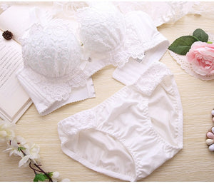 Sexy Underwear Set Push Up Bra Set For Women Underwear Lace Embroidery Bralette Set Women Intimates Lingerie AB Cup