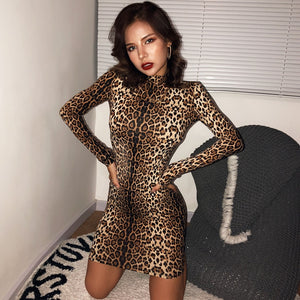 Hugcitar leopard print long sleeve slim bodycon sexy dress 2019 autumn winter women streetwear party festival dresses outfits