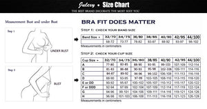 Julexy Brand Embroidery BCD Women Bra Set France Large Size Bra Brief Sets Cotton Sexy Push Up Lace Underwear Big Panty Set