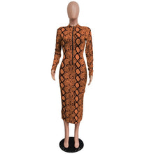 Load image into Gallery viewer, Women Sexy Snake Print Long Sleeve Zipper Evening Party Night Dress