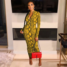 Load image into Gallery viewer, Women Sexy Snake Print Long Sleeve Zipper Evening Party Night Dress