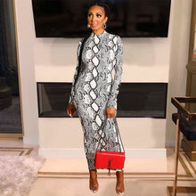 Load image into Gallery viewer, Women Sexy Snake Print Long Sleeve Zipper Evening Party Night Dress