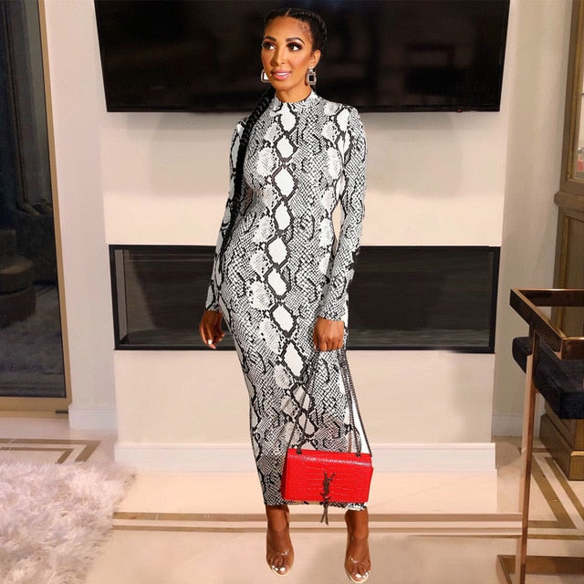 Women Sexy Snake Print Long Sleeve Zipper Evening Party Night Dress