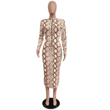 Load image into Gallery viewer, Women Sexy Snake Print Long Sleeve Zipper Evening Party Night Dress