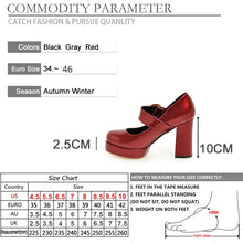 Load image into Gallery viewer, Women Mary Jane Shoes Thick Heels Round Toe Buckle Strap Platform Pumps Footwear