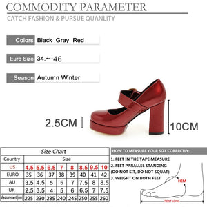 Women Mary Jane Shoes Thick Heels Round Toe Buckle Strap Platform Pumps Footwear