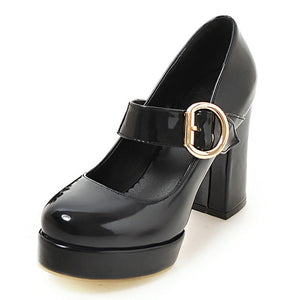 Women Mary Jane Shoes Thick Heels Round Toe Buckle Strap Platform Pumps Footwear