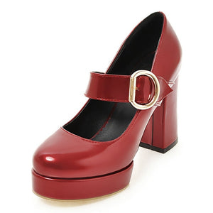 Women Mary Jane Shoes Thick Heels Round Toe Buckle Strap Platform Pumps Footwear