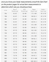 Load image into Gallery viewer, Varsbaby sexy lace push up bra sets bra+panties+garter+stockings+necklace Christmas 5 Pcs/Lots