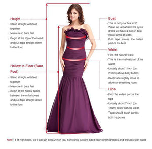 See Through Formal Celebrity Dresses A-line V-neck Chiffon Appliques Sexy Long Evening Dresses Famous Red Carpet Dresses