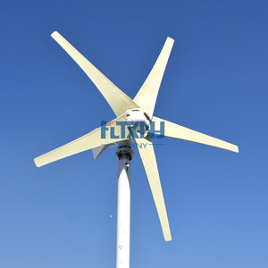 600w Wind Turbine 12v 24v 48v Horizontal Axis Wind Generator with MPPT Controller for Home Use