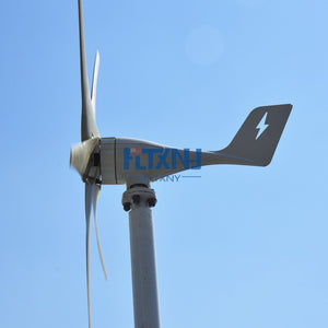 600w Wind Turbine 12v 24v 48v Horizontal Axis Wind Generator with MPPT Controller for Home Use