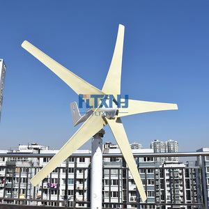 600w Wind Turbine 12v 24v 48v Horizontal Axis Wind Generator with MPPT Controller for Home Use