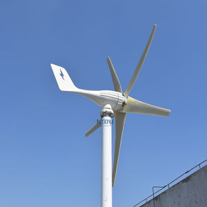 600w Wind Turbine 12v 24v 48v Horizontal Axis Wind Generator with MPPT Controller for Home Use