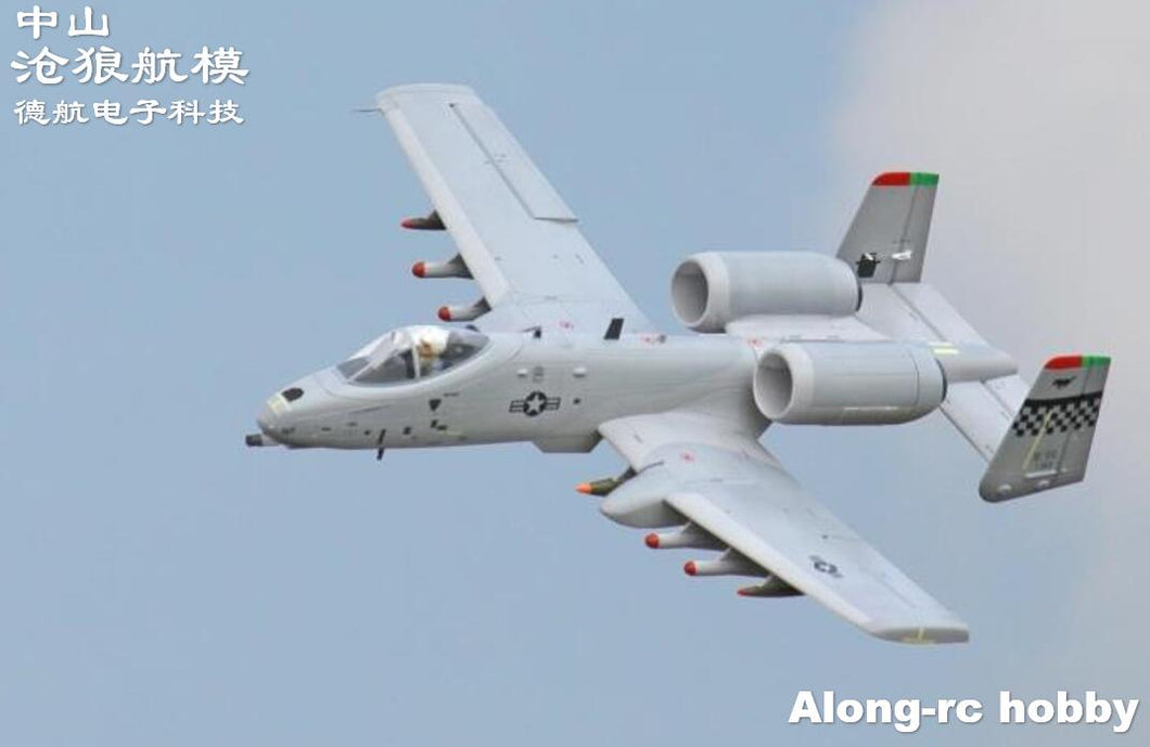 Freewing EPO RC Plane A-10 Thunderbolt II 