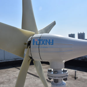 600w Wind Turbine 12v 24v 48v Horizontal Axis Wind Generator with MPPT Controller for Home Use