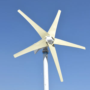 600w Wind Turbine 12v 24v 48v Horizontal Axis Wind Generator with MPPT Controller for Home Use