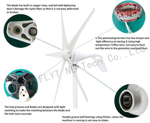 600w Wind Turbine 12v 24v 48v Horizontal Axis Wind Generator with MPPT Controller for Home Use