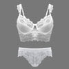 Fashion transparent sexy bra set plus size Women gauze embroidery ultra-thin underwear set lace brassiere and hollow out Panties