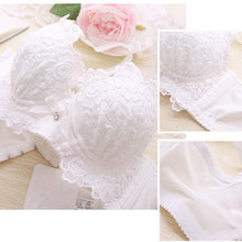 Load image into Gallery viewer, Sexy Underwear Set Push Up Bra Set For Women Underwear Lace Embroidery Bralette Set Women Intimates Lingerie AB Cup