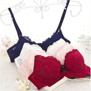 Blue Red Pink Lingerie Set Women Sexy Bra Lace Bralette Plus Size Underwire Bra Push Up Seamless Padded Bras Underwear Set